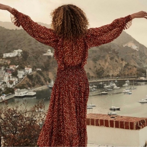 NWT DOEN MURIEL DRESS - XXS (roughly size 0-2) Red Print - Silk - Picture 3 of 12